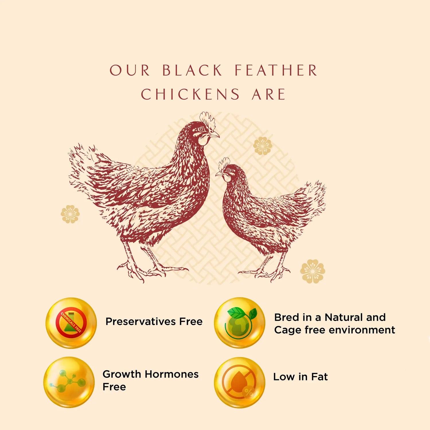 Chicken Essence Singapore