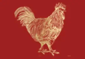Essence Of Chicken Drink Singapore